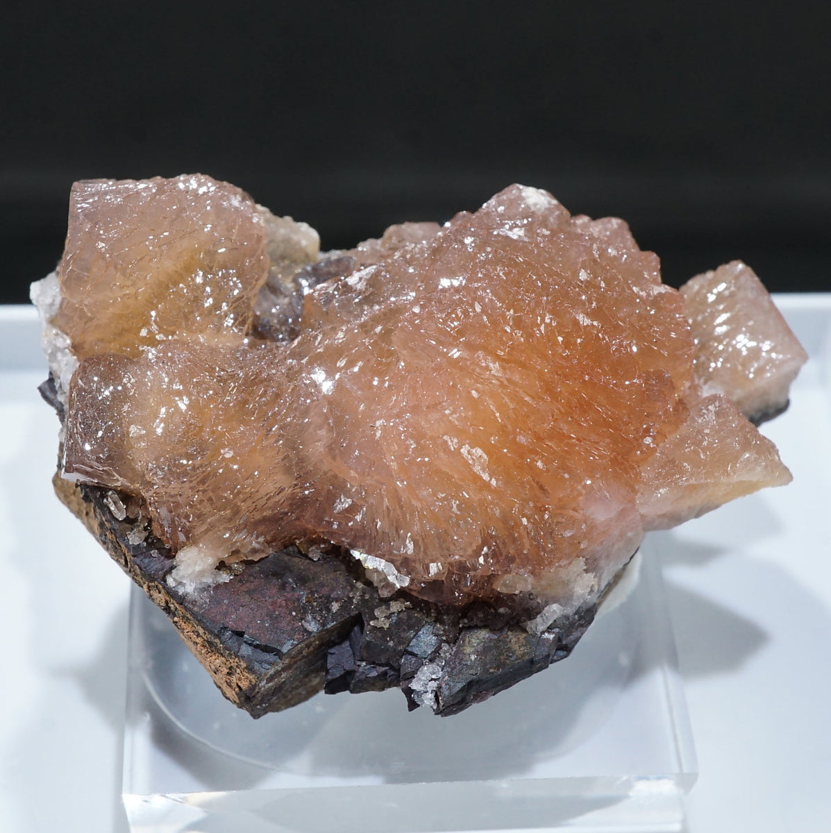 46148-2_1200x1200.jpg?v=1721980016