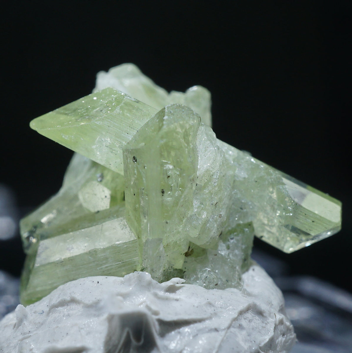 46156-11_1200x1200.jpg?v=