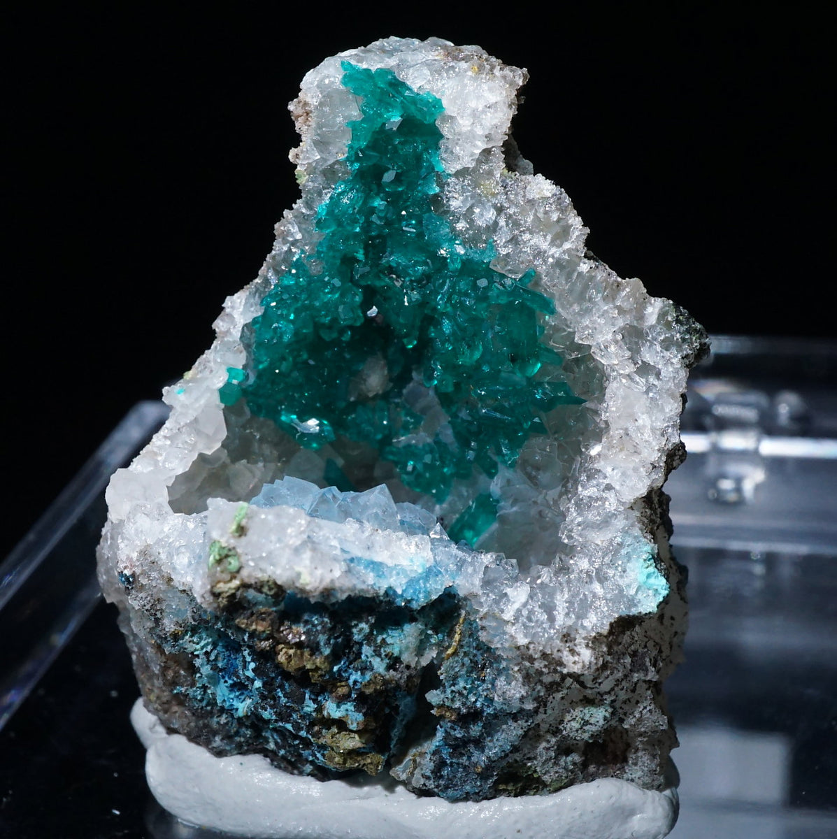 49072-2_1200x1200.jpg?v=1727249697