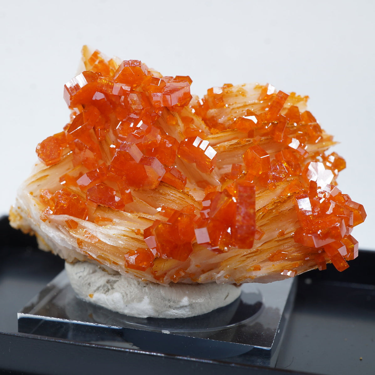 51095-2_1200x1200.jpg?v=1732518639