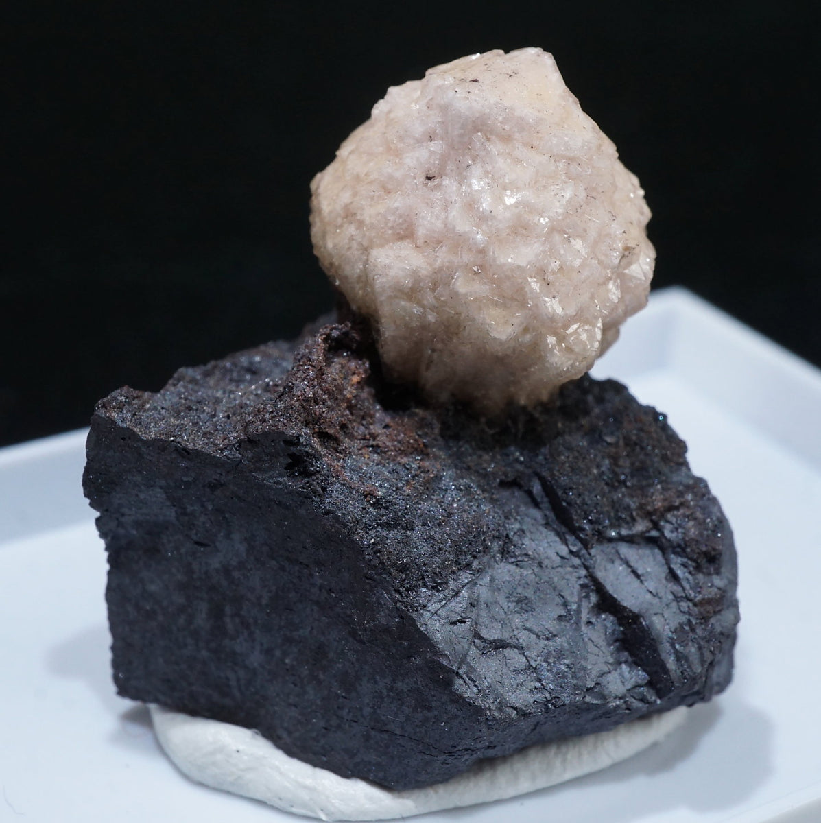 51192-15_1200x1200.jpg?v=