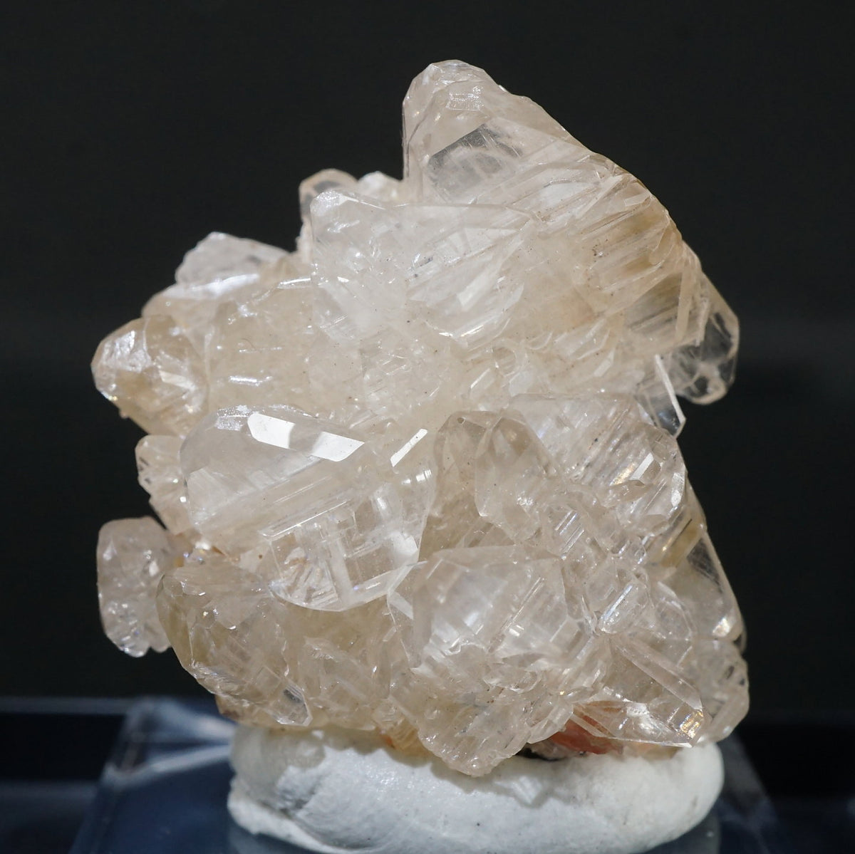 51994-2_1200x1200.jpg?v=1749192144