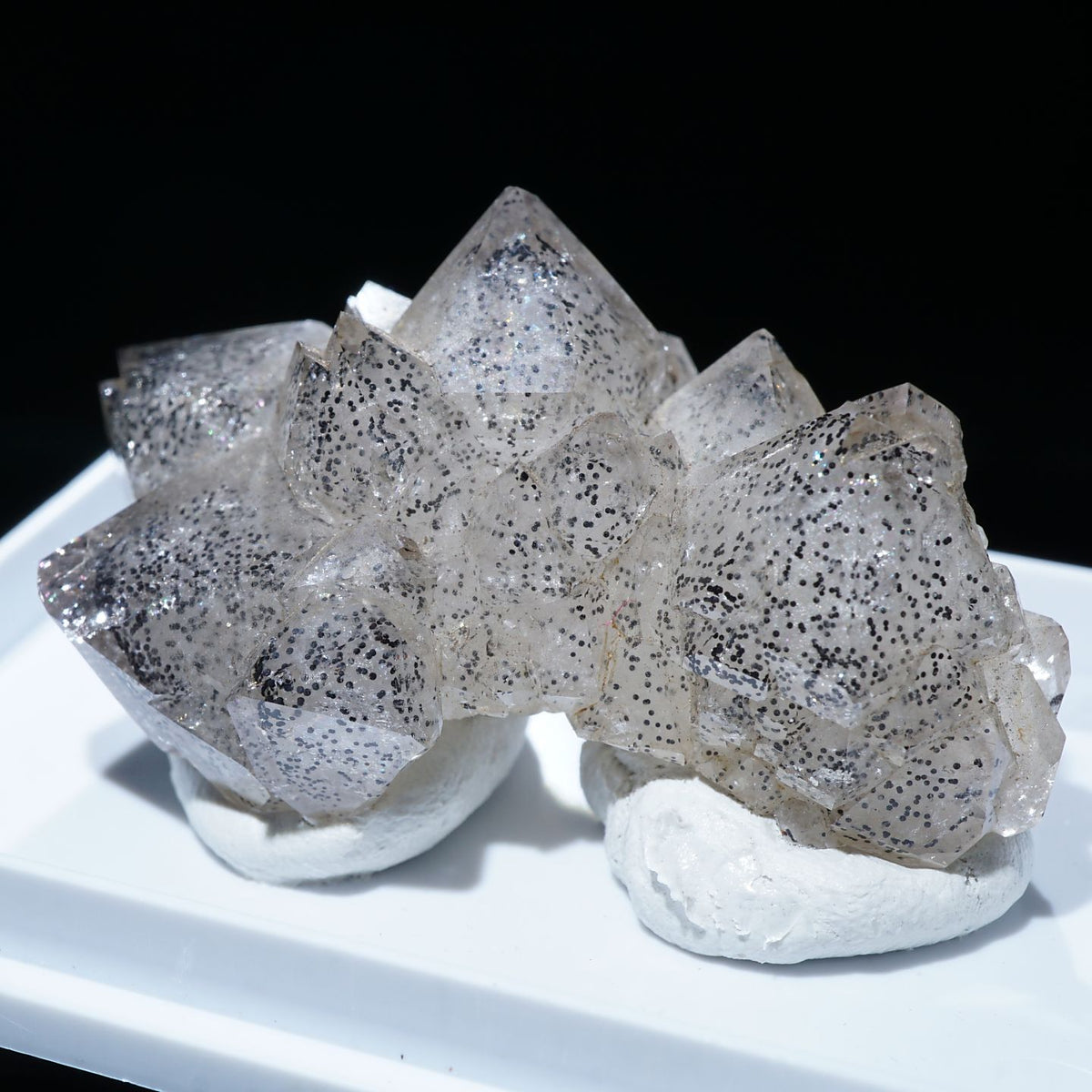 91713-2_1200x1200.jpg?v=1689337127