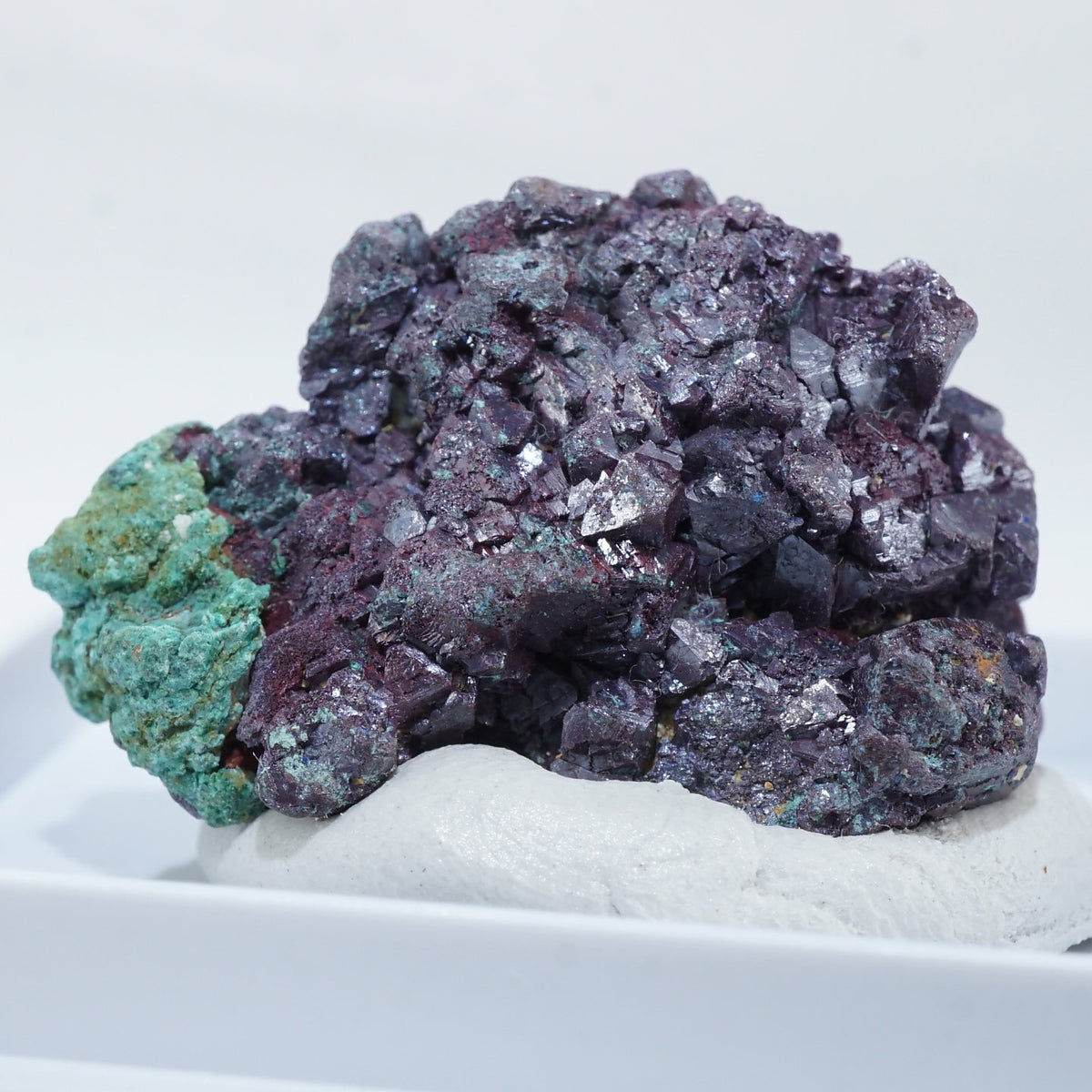 91894-6_1200x1200.jpg?v=1698046421