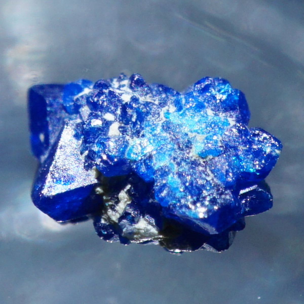 92067-10_1200x1200.jpg?v=