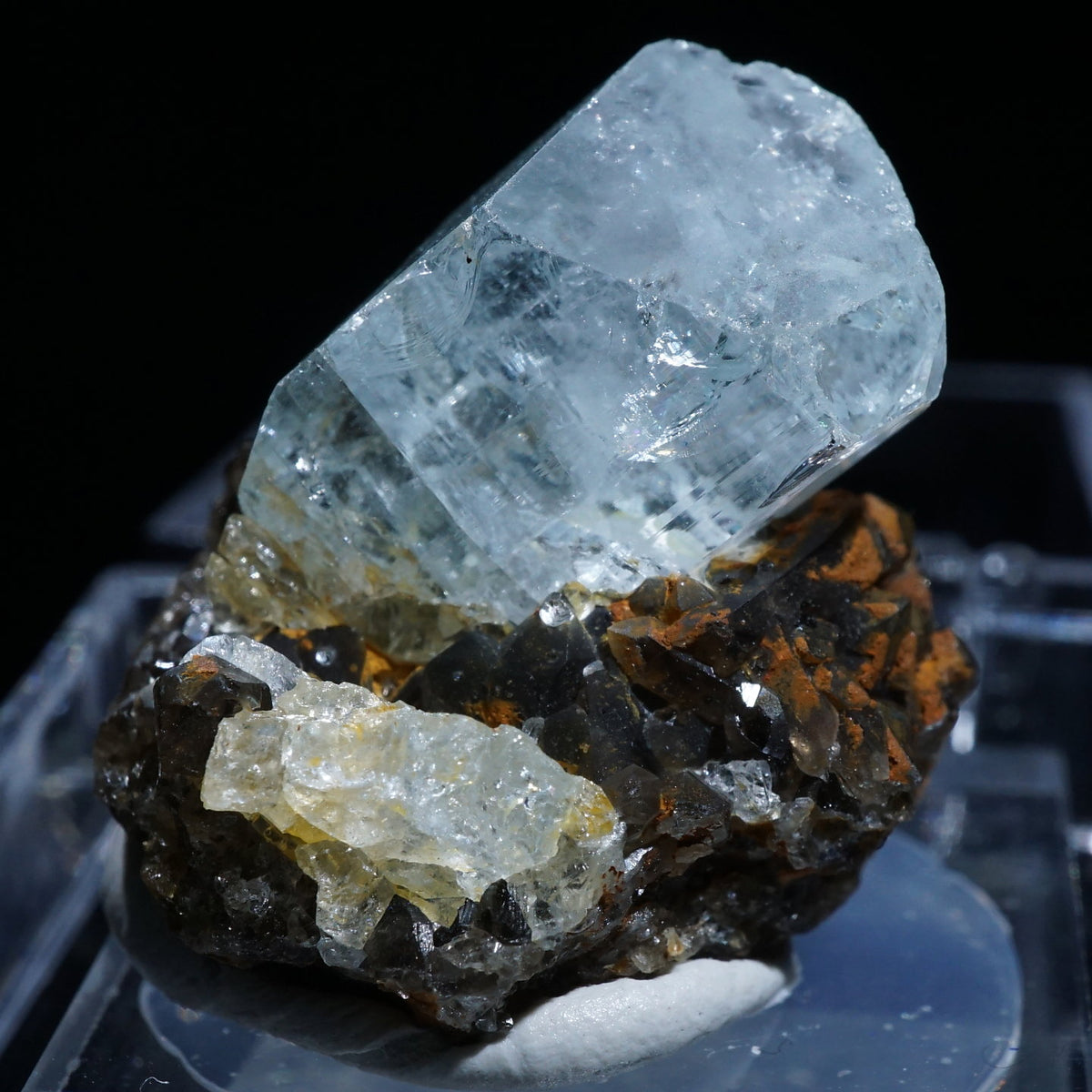 92214-2_1200x1200.jpg?v=1707724806