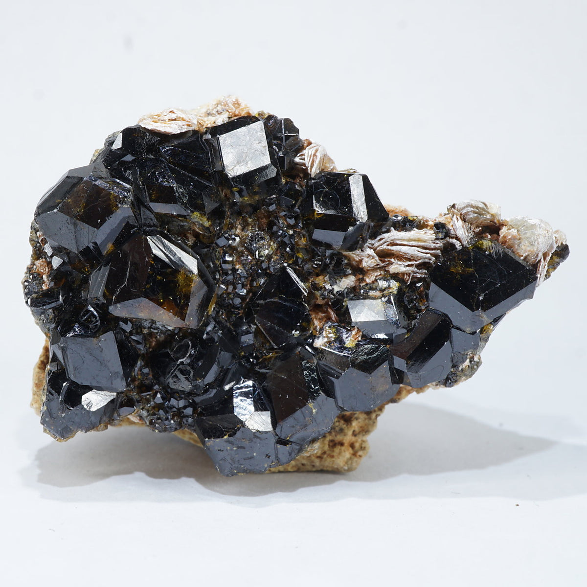 92226-1_1200x1200.jpg?v=1707808040