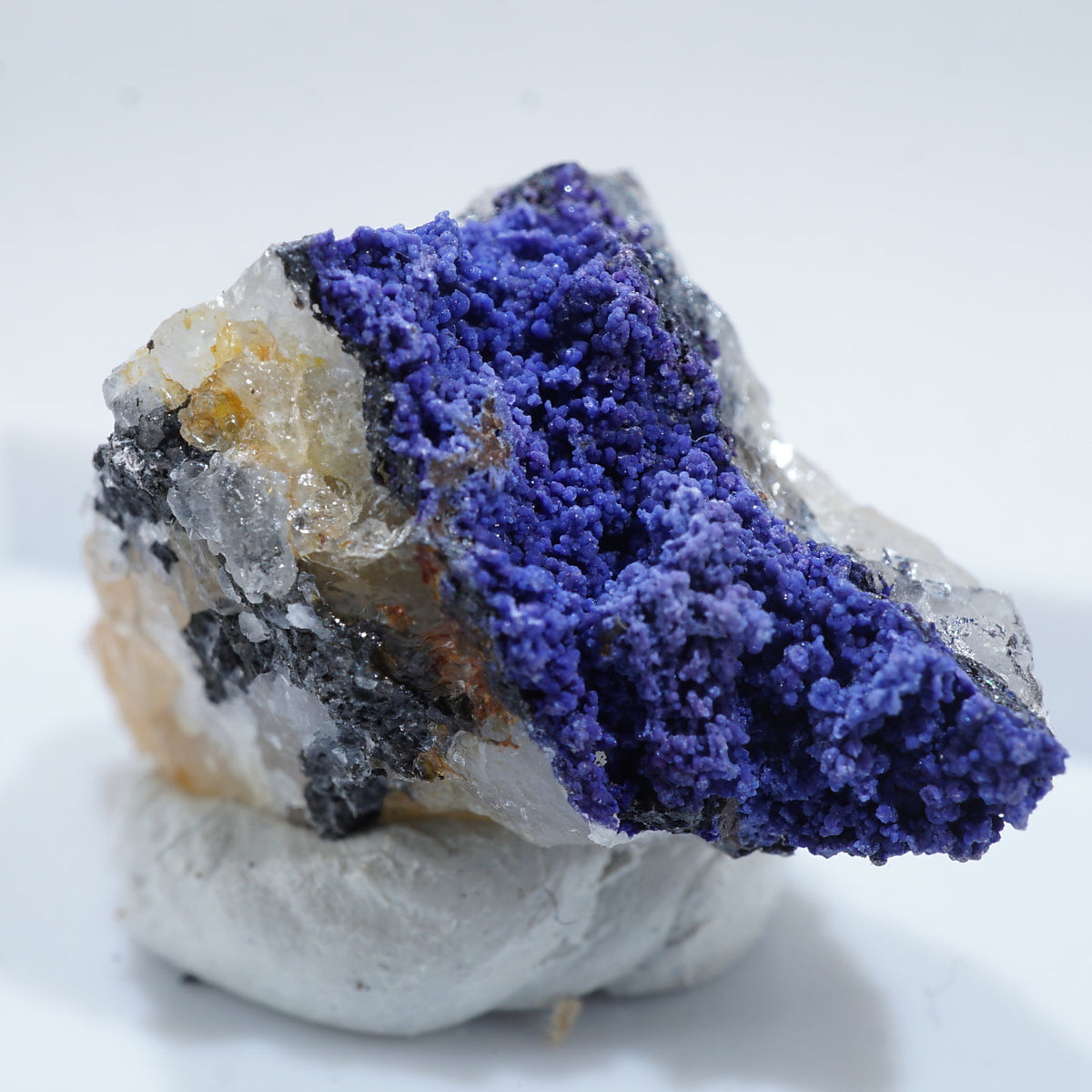 92240-2_1200x1200.jpg?v=1708071209