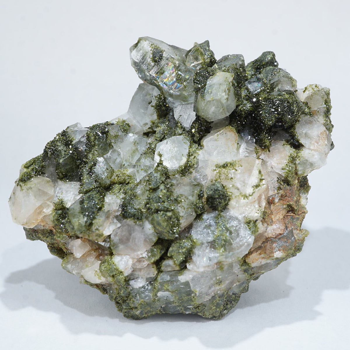 92363-8_1200x1200.jpg?v=1709883057