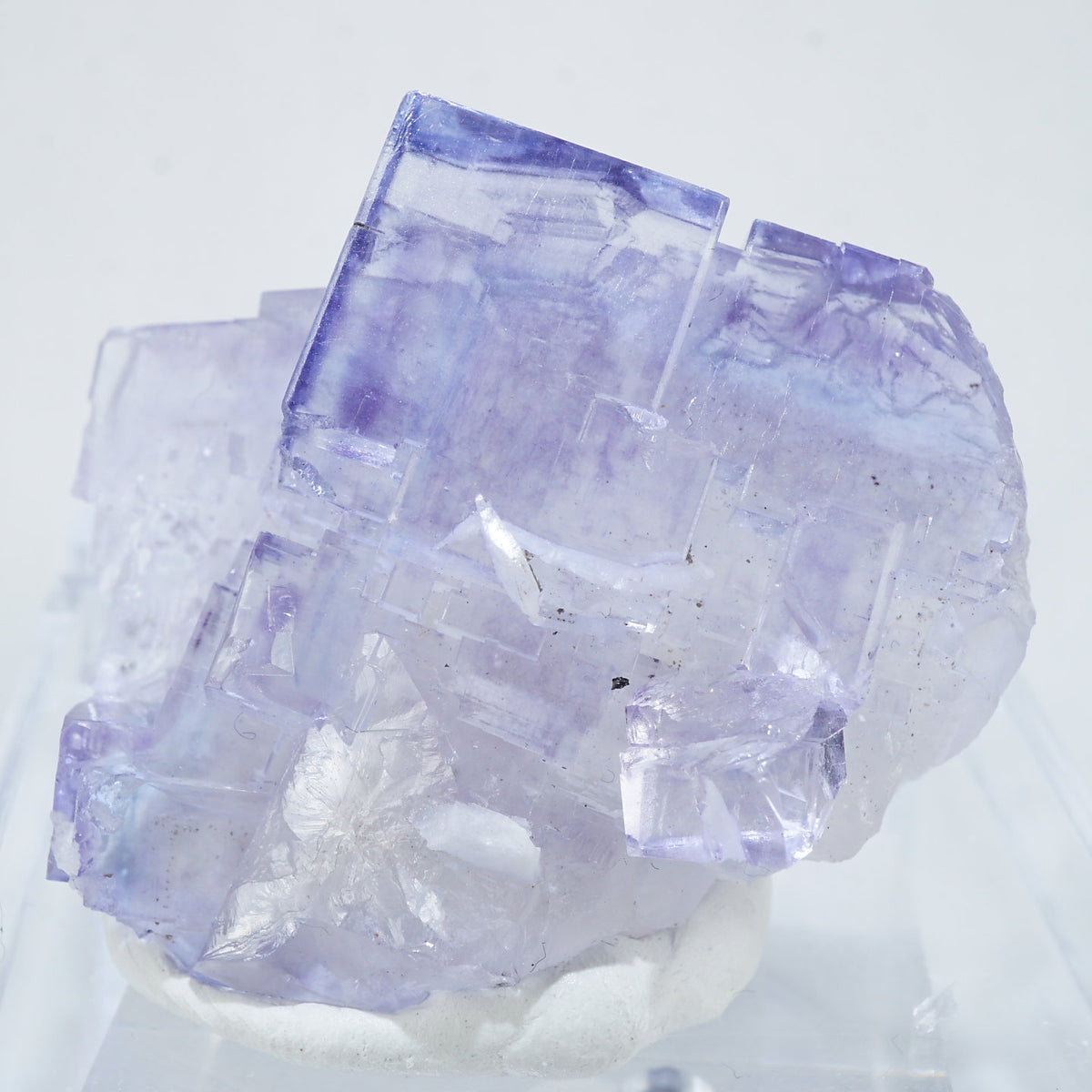 Y アストゥリアス フローライト 【公式通販】