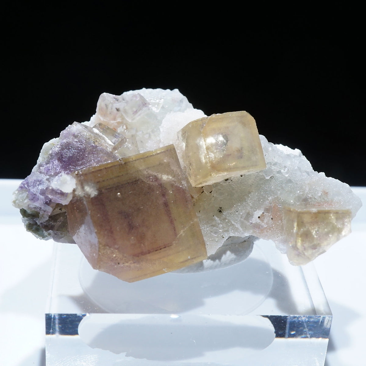 95524-2_1200x1200.jpg?v=1695281342