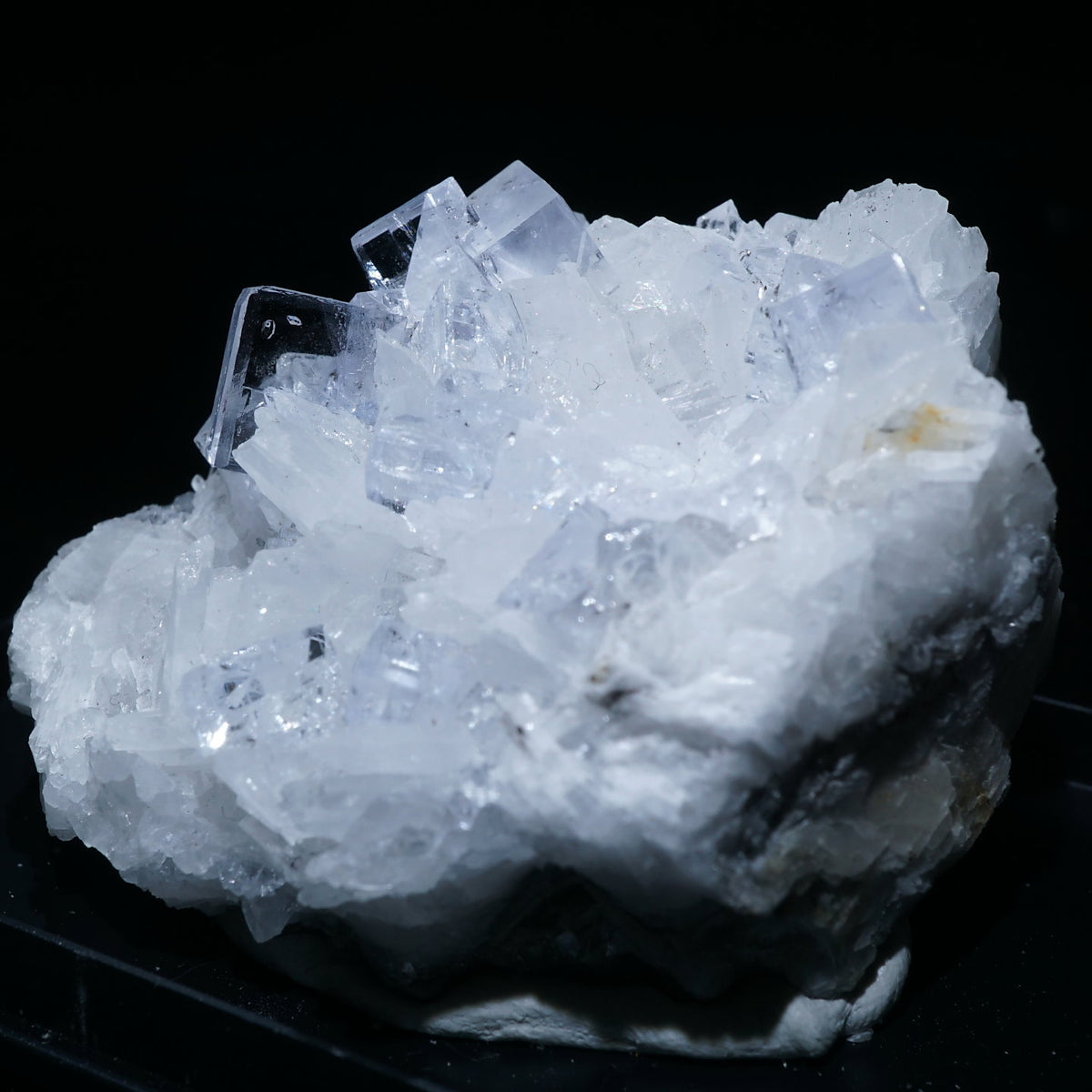 95532-4_1200x1200.jpg?v=1695626490