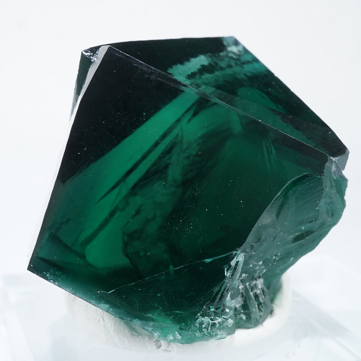 95828-13_1200x1200.jpg?v=