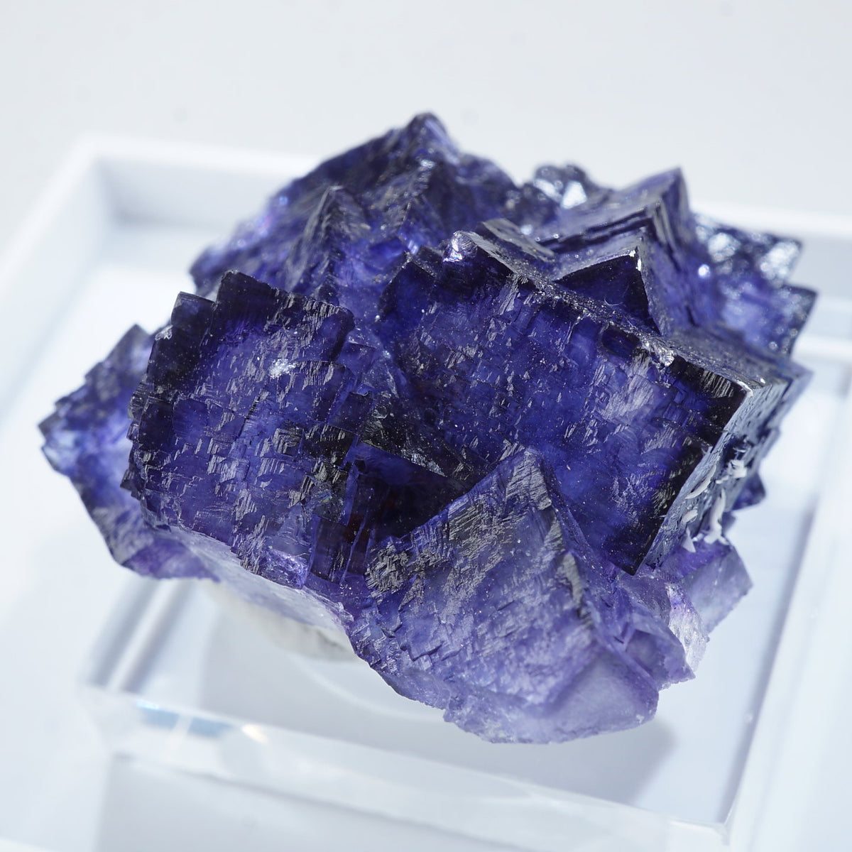 テネシー州エルムウッド鉱山産 フローライト – 天然石ハッピーギフト