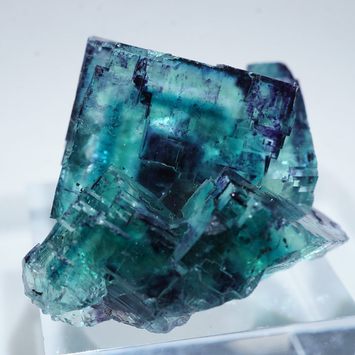 95919-18_1200x1200.jpg?v=