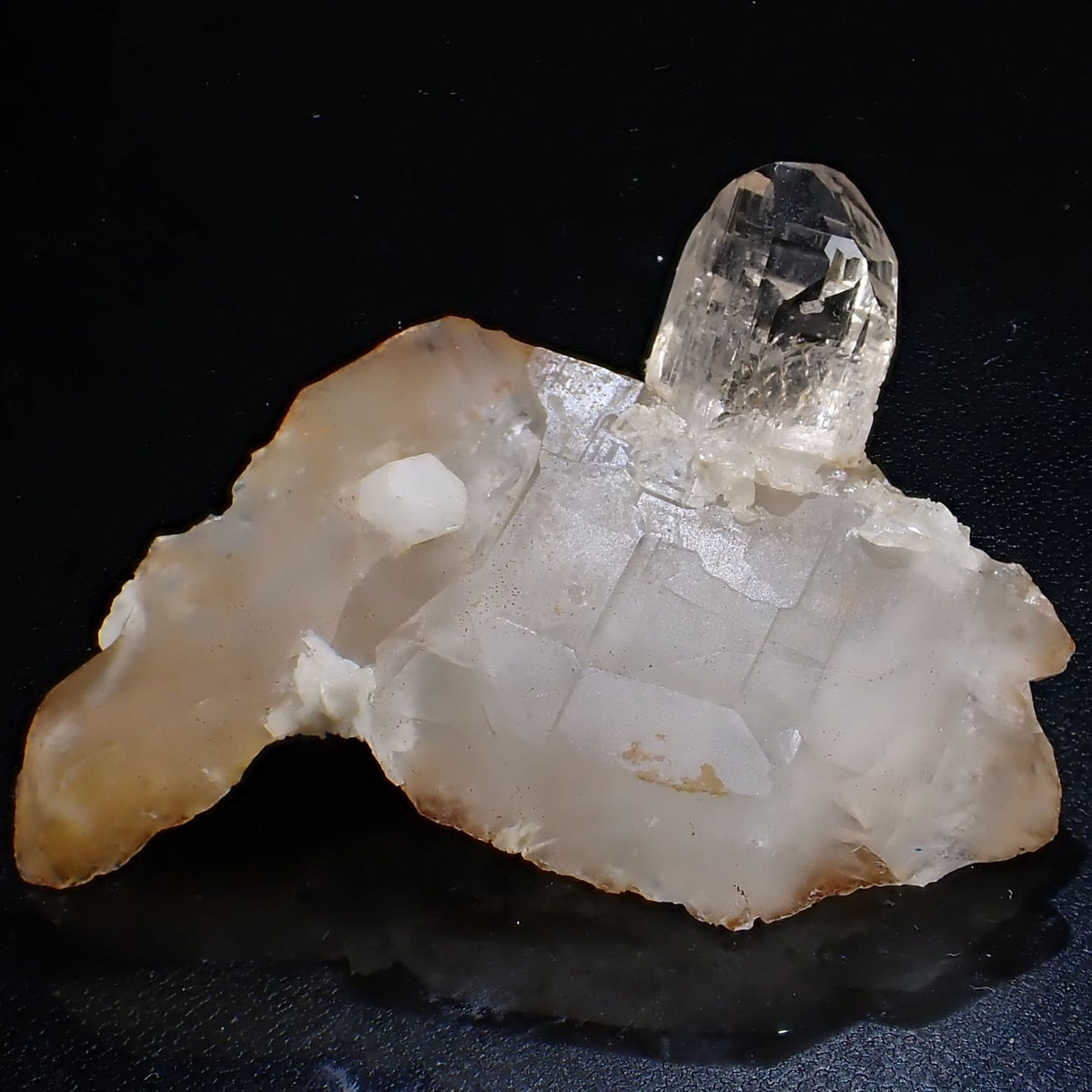 90190-c1_1200x1200.jpg?v=