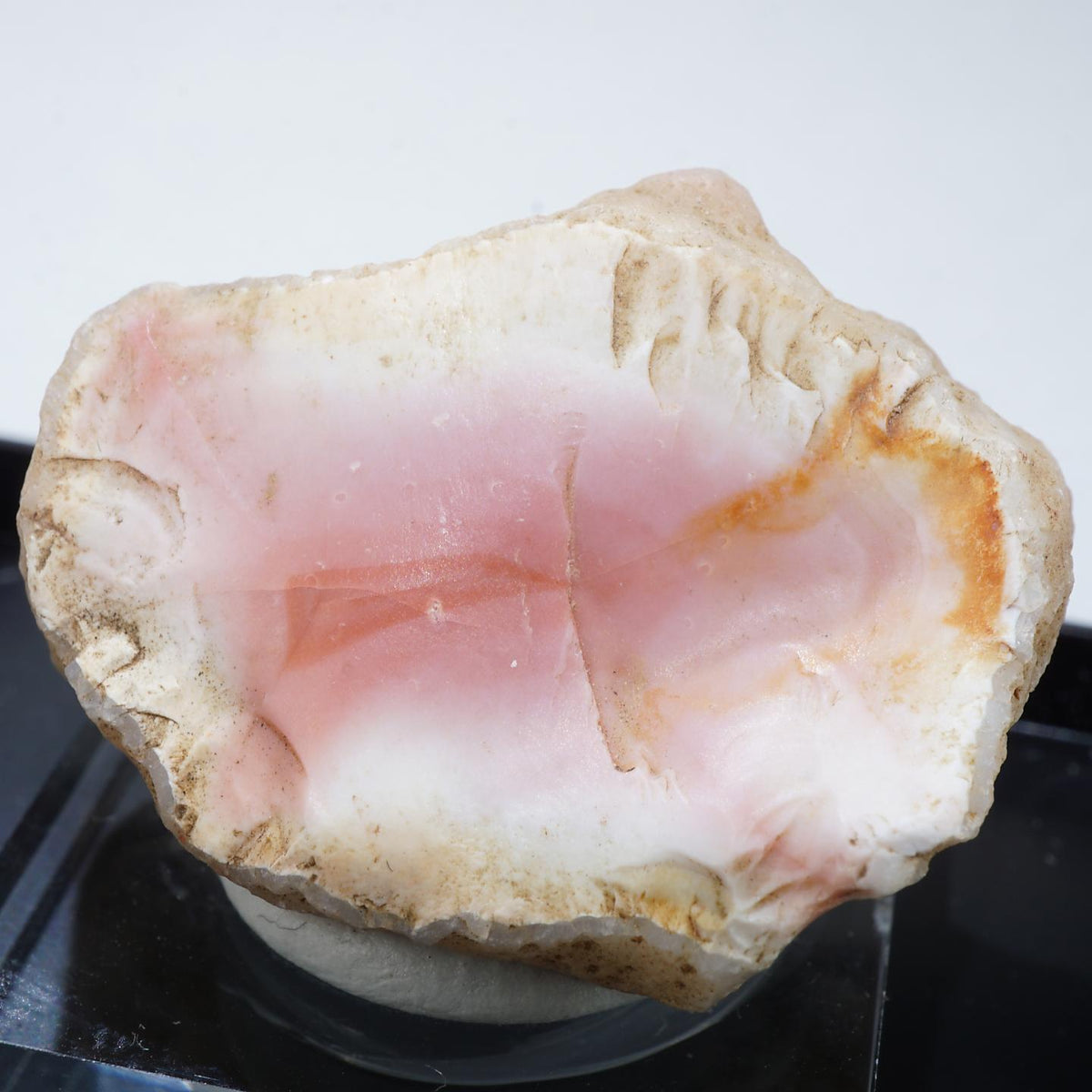 90239-c1_1200x1200.jpg?v=