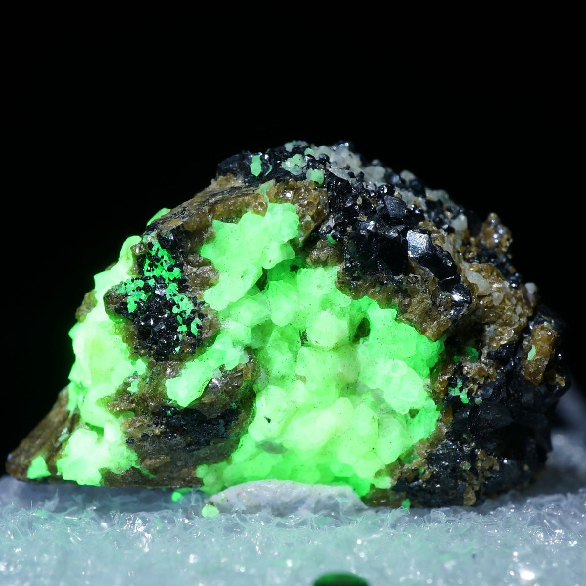 蛍光》アメリカ ニュージャージー州産 Green Willemite(珪亜鉛鉱