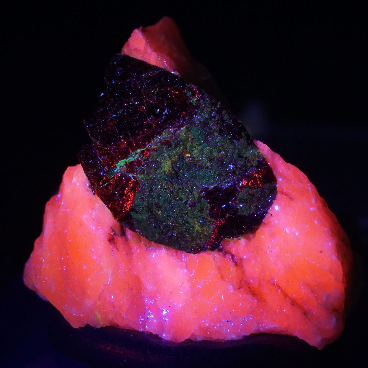 91452-8_1200x1200.jpg?v=1678328544