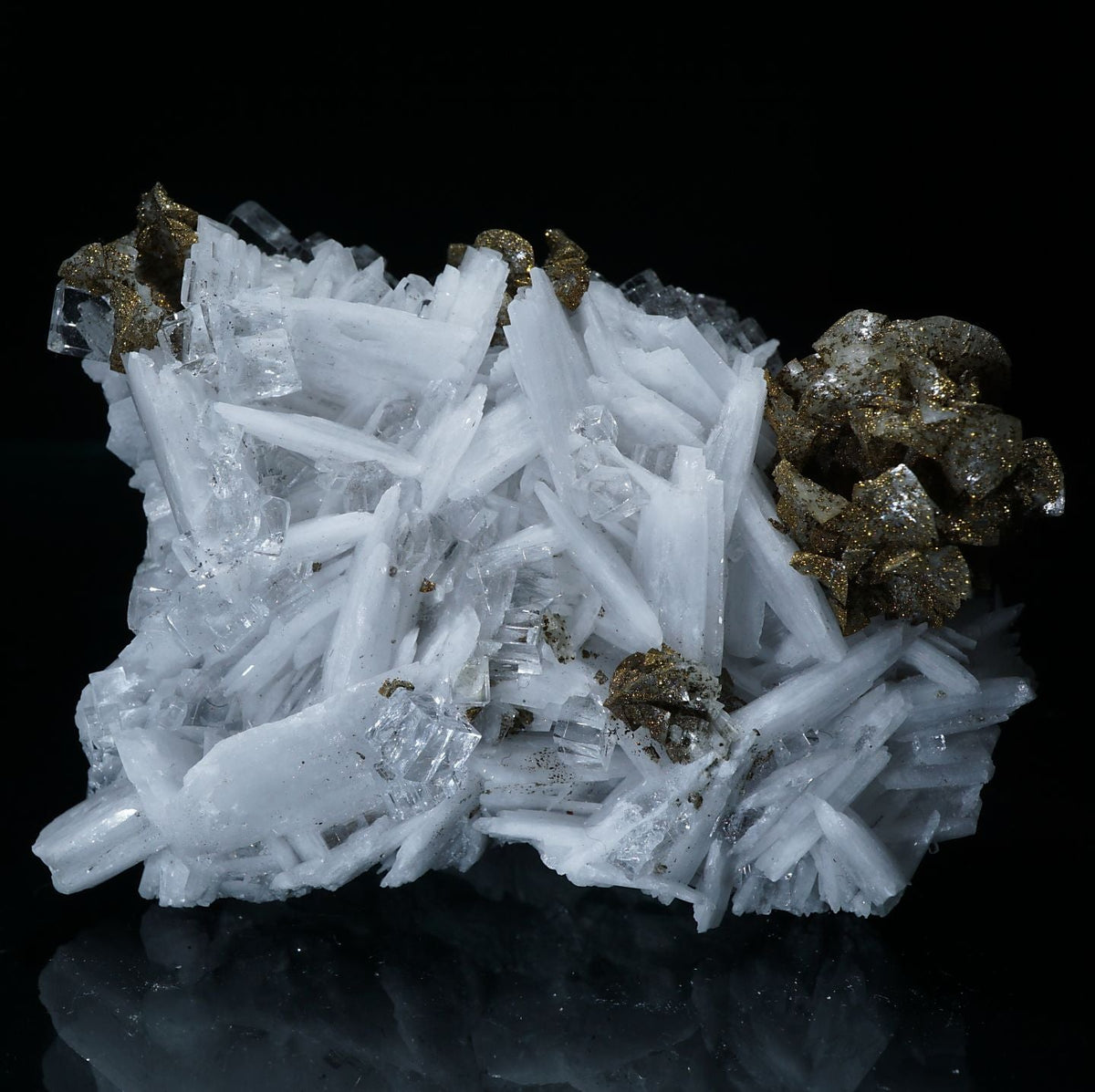 91544-13_1e102f17-00bf-40c1-