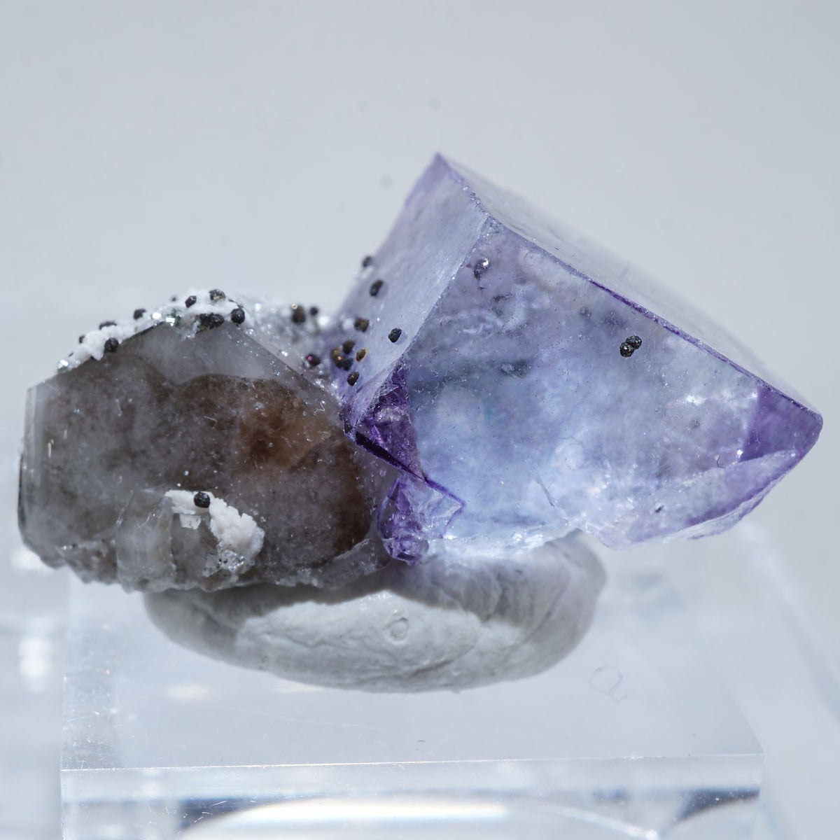 94590-c1_1200x1200.jpg?v=