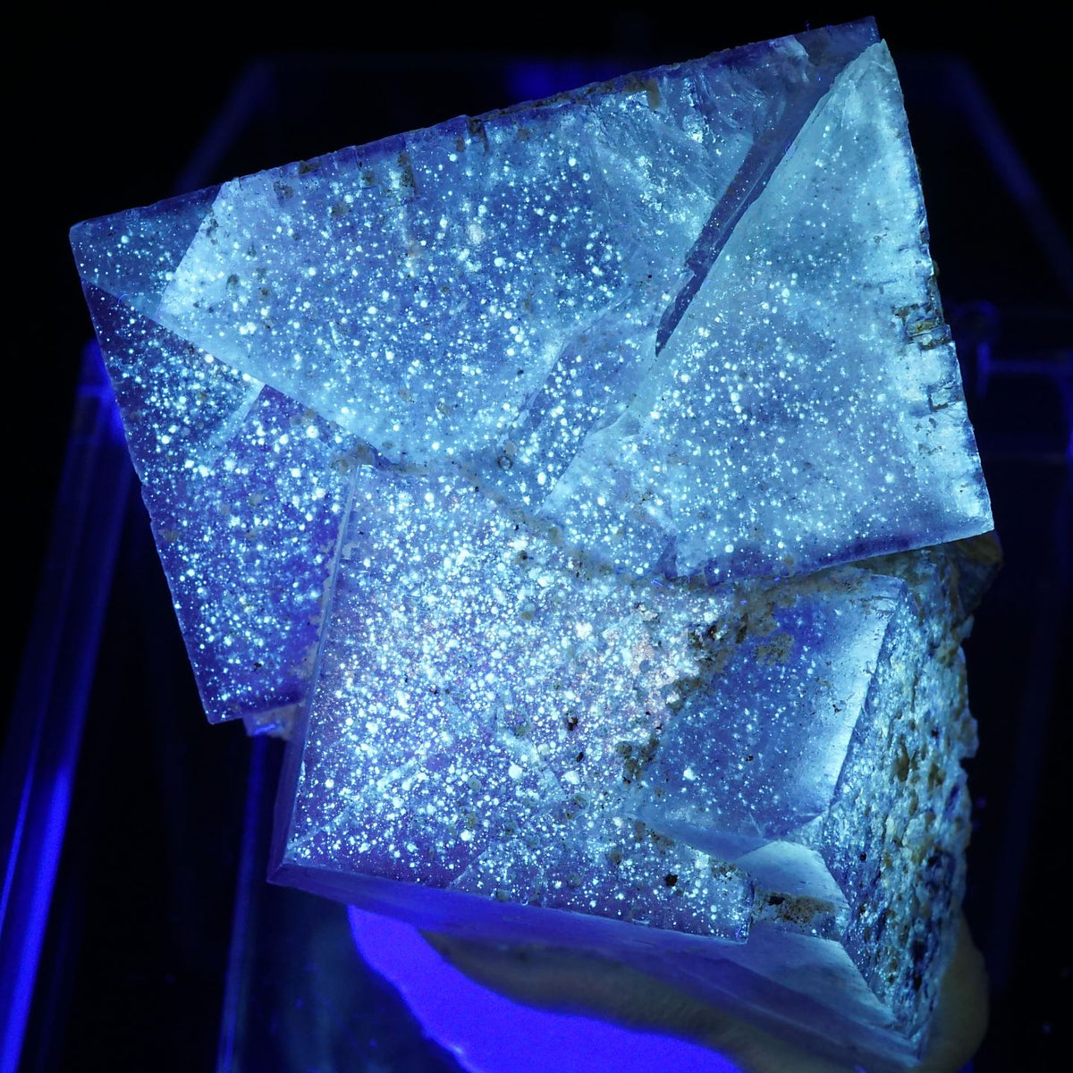 94870-c2_1200x1200.jpg?v=