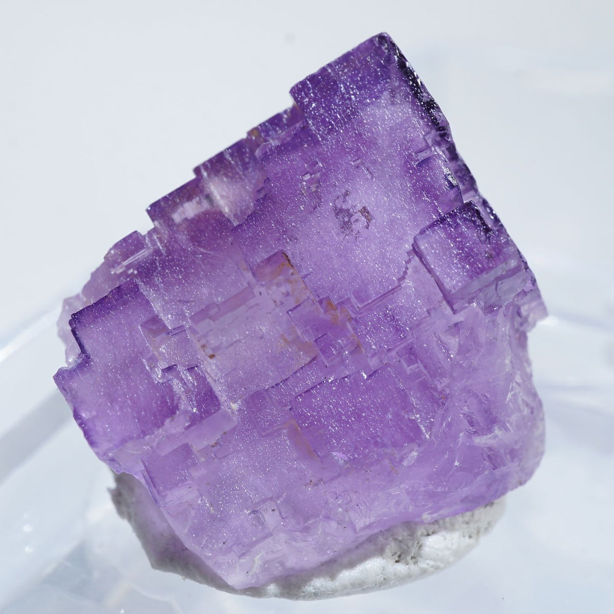 94924-c1_1200x1200.jpg?v=