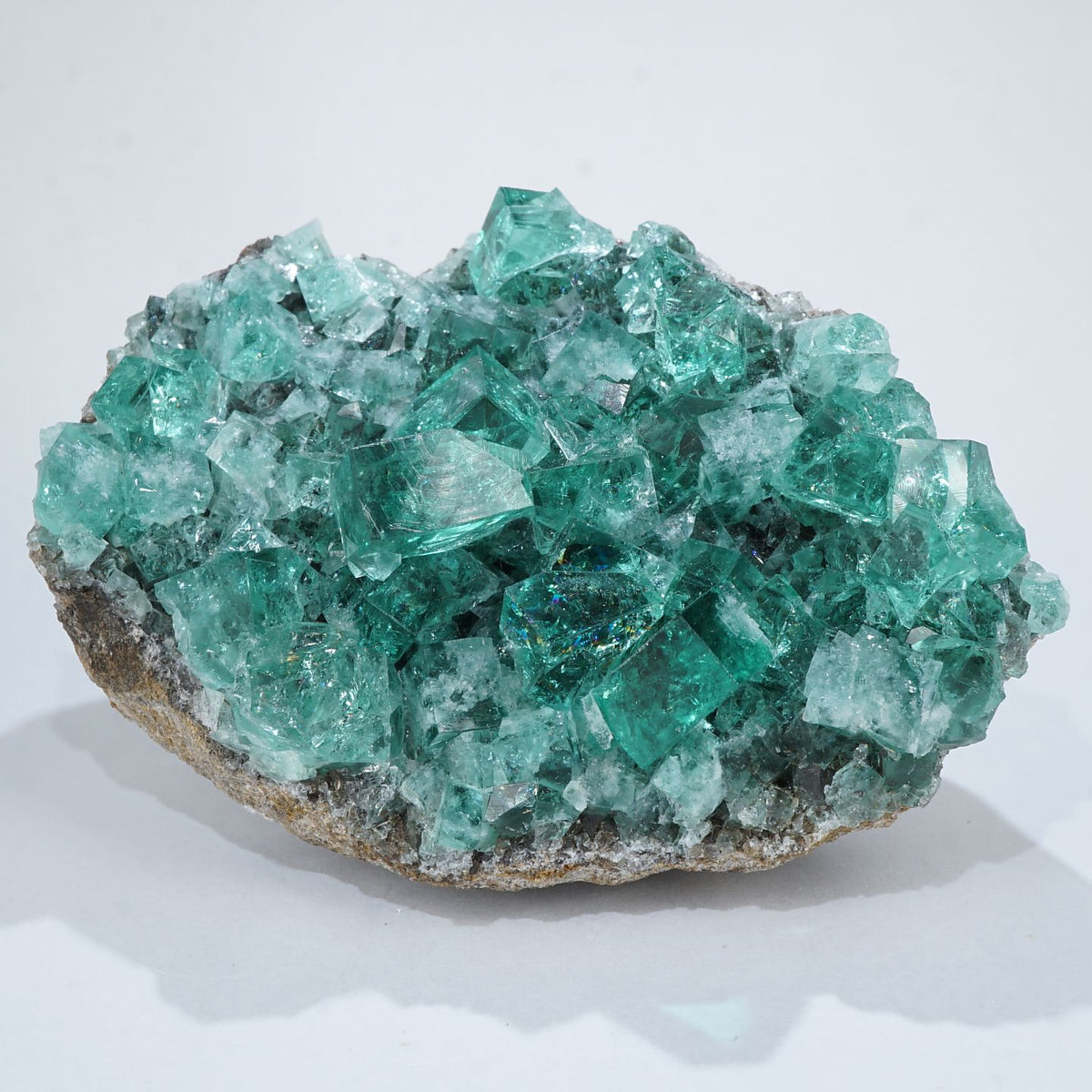 イギリス Diana Maria Mine(ダイアナマリア)フローライト