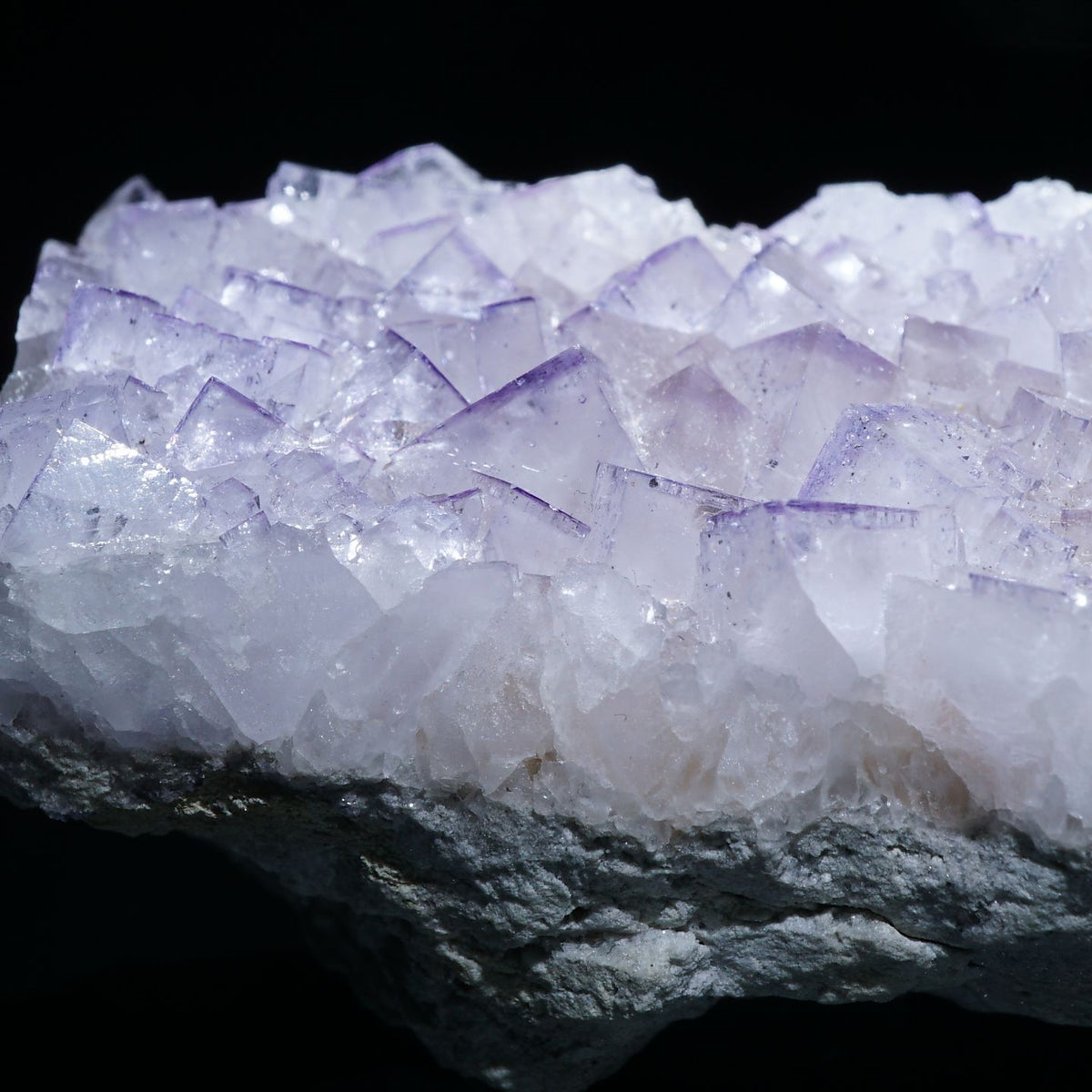 イタリア サルディーニャ産 フローライト – 天然石ハッピーギフト