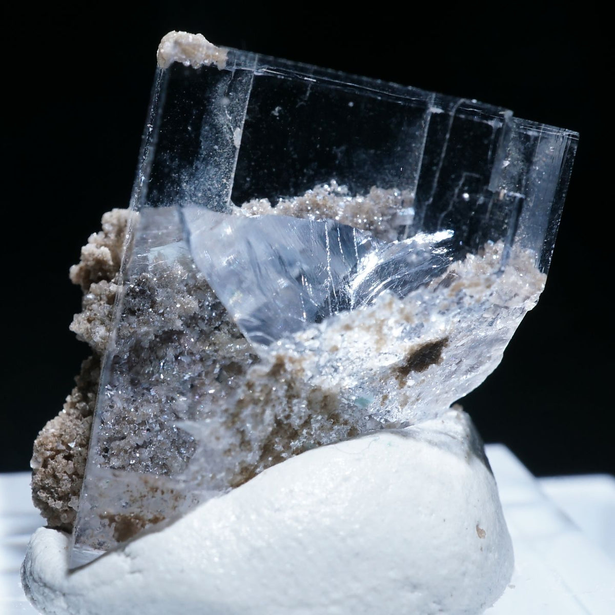 95155-9_1200x1200.jpg?v=1675841258