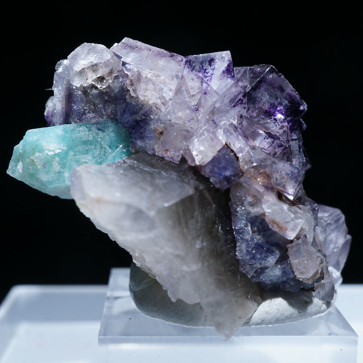 95163-6_1200x1200.jpg?v=1676269326