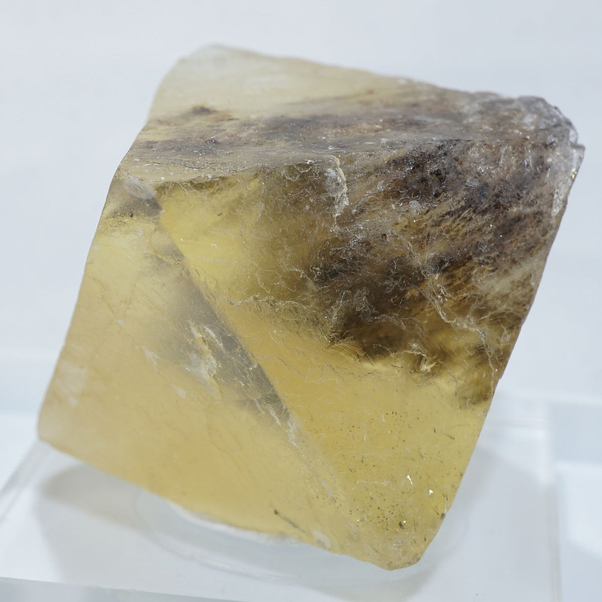 イリノイ州 Cave in Rock産 蛍光八面体フローライト – 天然石ハッピー