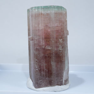 アフガニスタン産 エルバイト