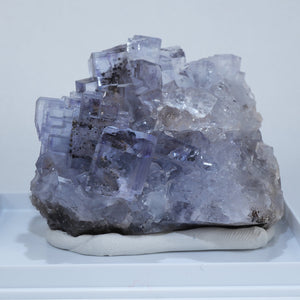 スペイン La Viesca Mine産 フローライト