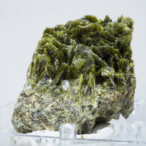 スペイン産　Clinozoisite・Quartz