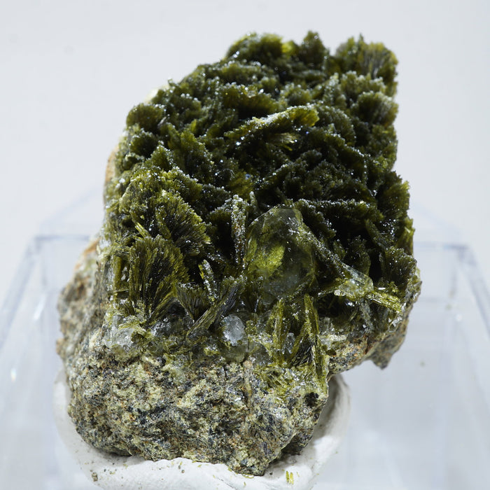 スペイン産　Clinozoisite・Quartz