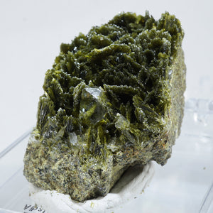 スペイン産　Clinozoisite・Quartz