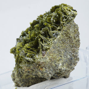 スペイン産　Clinozoisite・Quartz