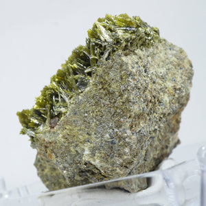 スペイン産　Clinozoisite・Quartz