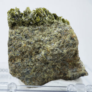 スペイン産　Clinozoisite・Quartz