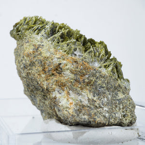 スペイン産　Clinozoisite・Quartz