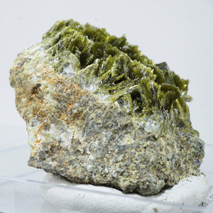 スペイン産　Clinozoisite・Quartz