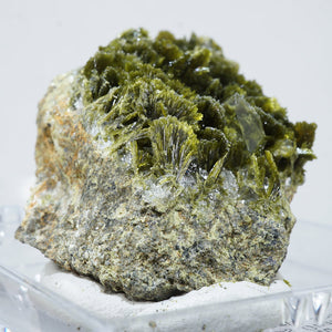 スペイン産　Clinozoisite・Quartz