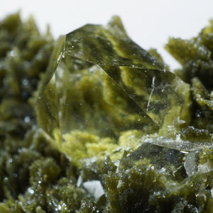 スペイン産  Clinozoisite・Quartz