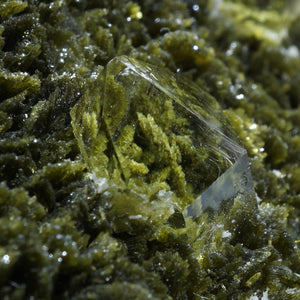 スペイン産  Clinozoisite・Quartz