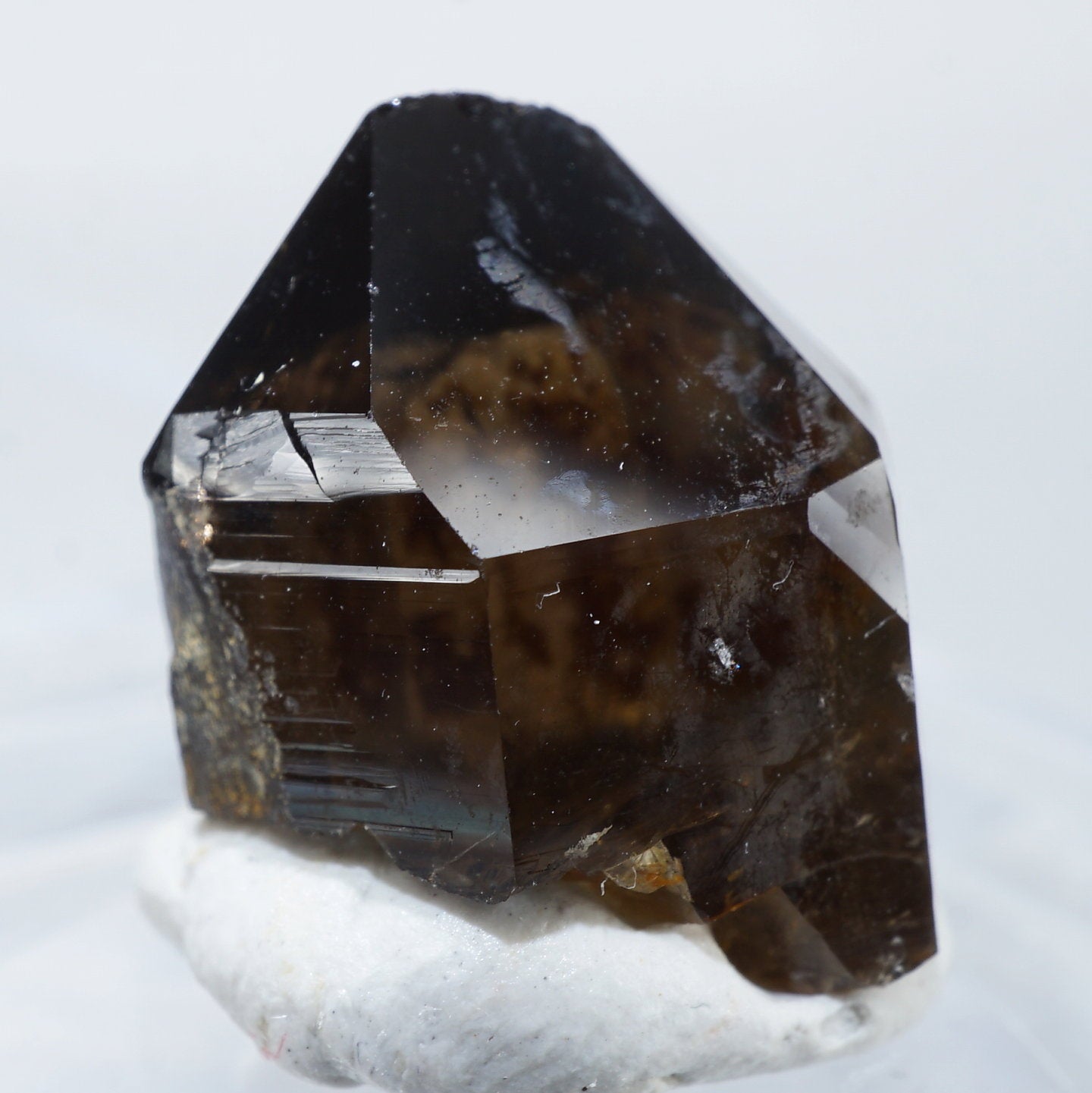 スモーキークォーツBIGシェル♡♡No.2299 ☆【秘蔵放出！入手難易度