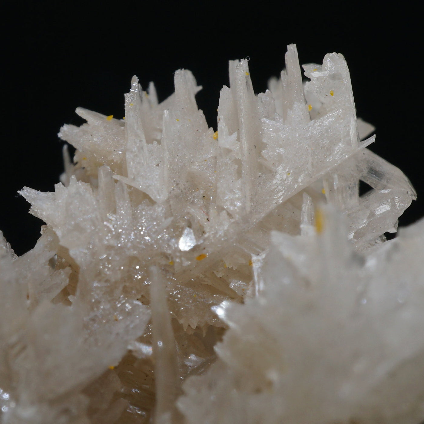 イラン産 Cerussite(白鉛鉱)