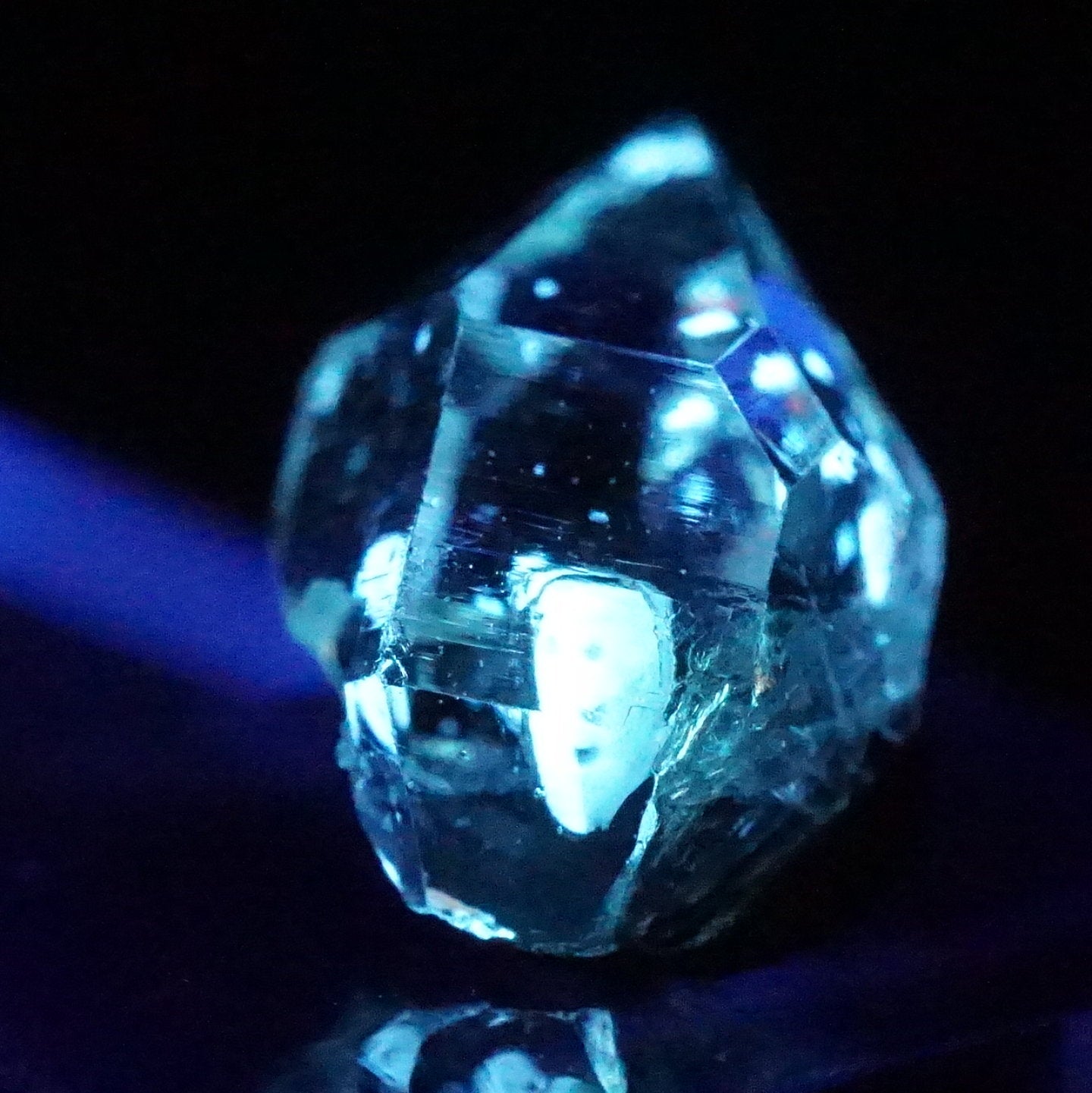 40310-12_1440x.jpg?v=1719565277