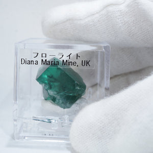 イギリス Diana Maria Mine(ダイアナマリア)フローライト