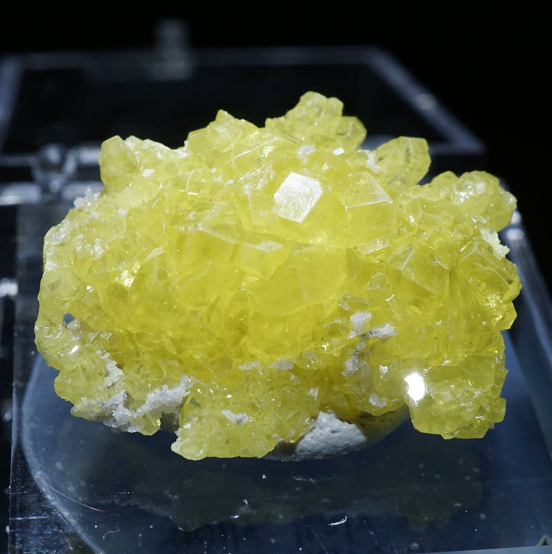 オーストラリア産の黄色いアラゴナイト オーストラリア産の黄色いアラゴナイト 【公式通販】